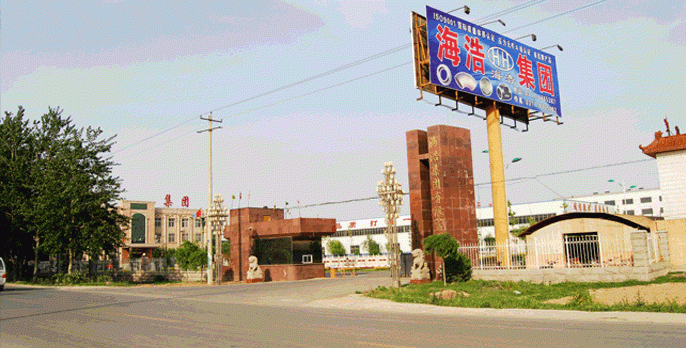 History of HEBEI HAIHAO GROUP