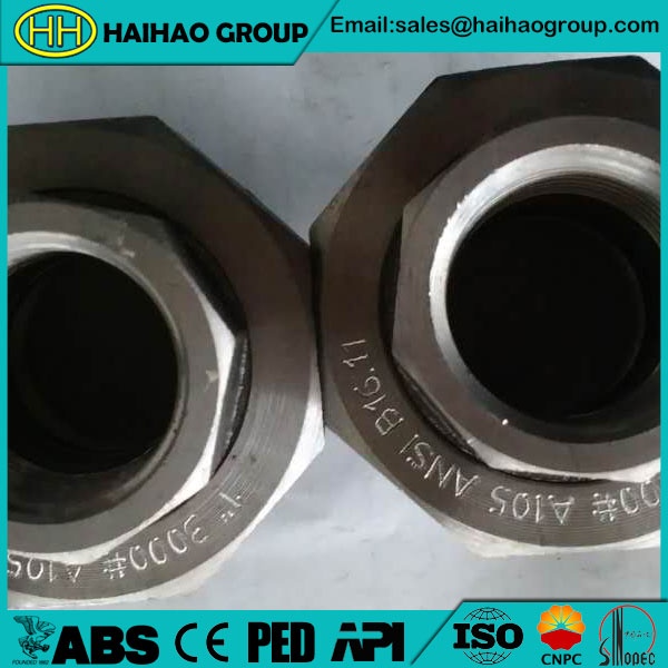 3000# ANSI B16.11 A105 Threaded Pipe Union