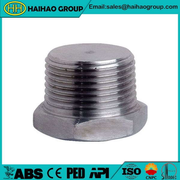 Stainless Steel 316 Hexagonal Head Plug