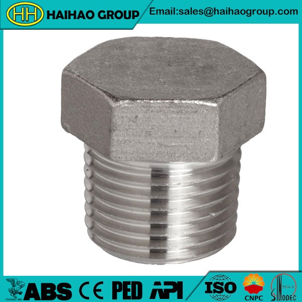 Stainless Steel 316 Hexagonal Head Plug