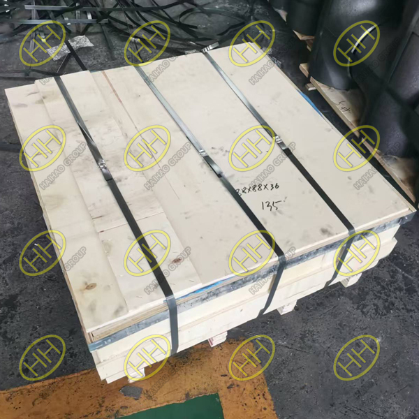 P265GH DIN 28011 BW haeds and perforated heads manufactured by Haihao Group